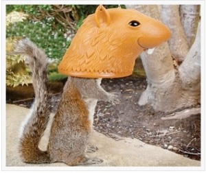 big head squirrel feeder